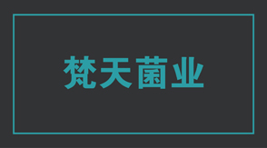 食品行业宿迁冲锋衣设计款式